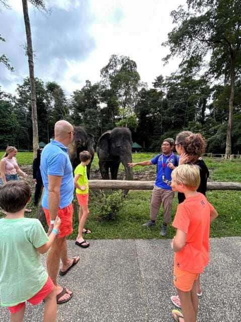 From Kuala Lumpur: Elephant Sanctuary Guided Tour - Who Will Enjoy This Day Most