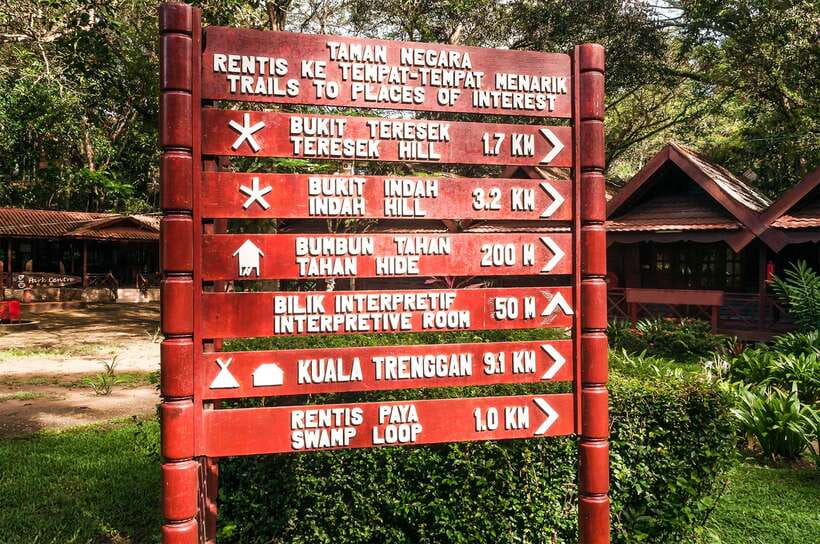 From Kuala Lumpur: Full-Day Taman Negara National Park - The rainforest walk and the closed canopy bridge