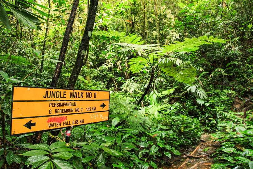 From Kuala Lumpur: Full-Day Taman Negara National Park - Who will enjoy this Taman Negara day trip?