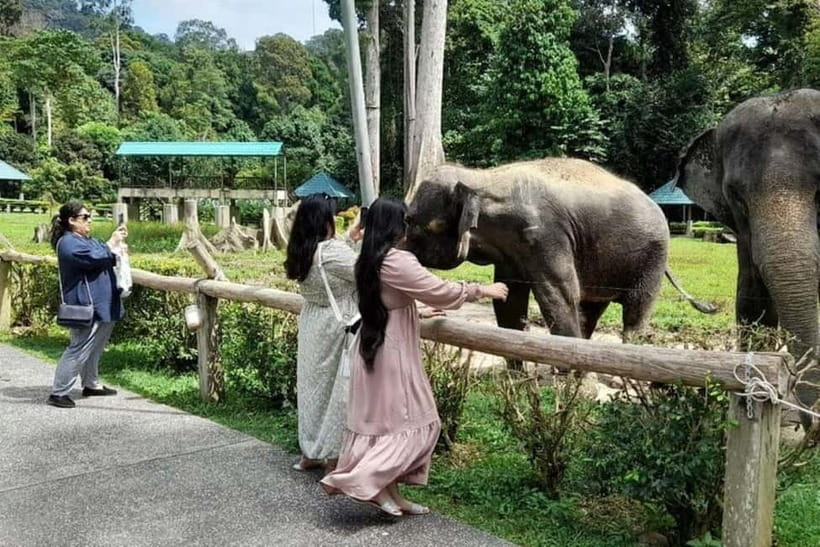 From Kuala Lumpur: Kuala Gandah & Batu Caves Day Trip - From Kuala Lumpur to Batu Caves in one morning