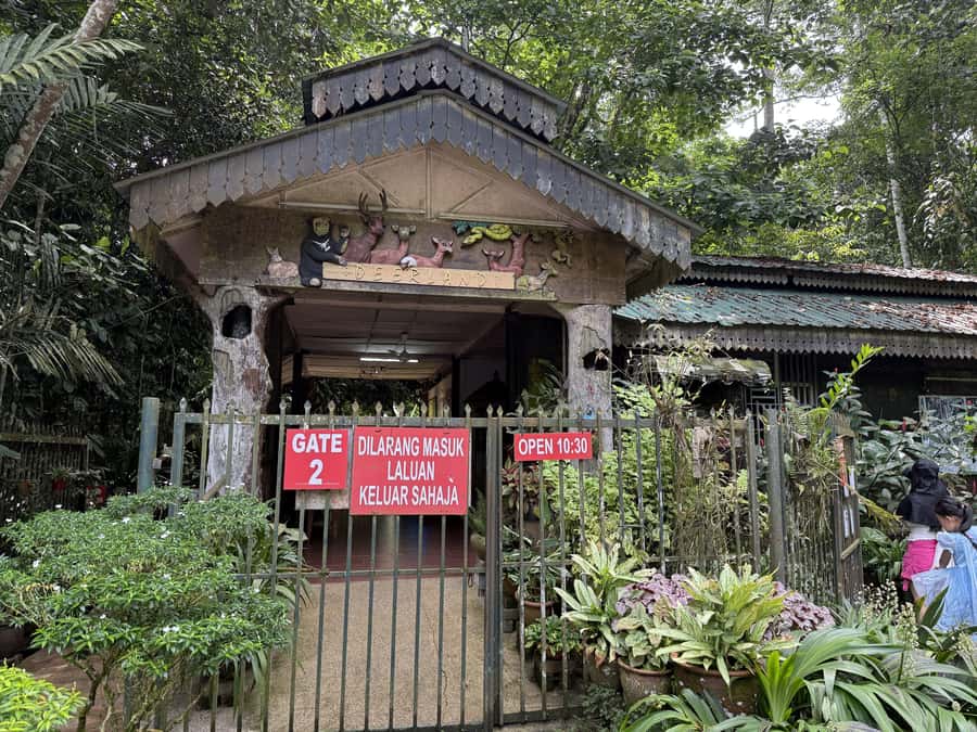 From Kuala Lumpur: Kuala Gandah Elephant Sanctuary Day Trip - Should you book this Kuala Gandah day trip?