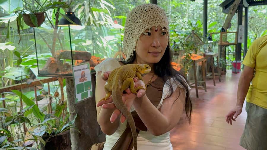 From Kuala Lumpur: Kuala Gandah Elephant Sanctuary Day Trip - What can change on the day