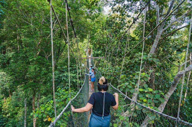 From Kuala Lumpur Taman Negara Day Trip With Lunch - Key points to know before you go