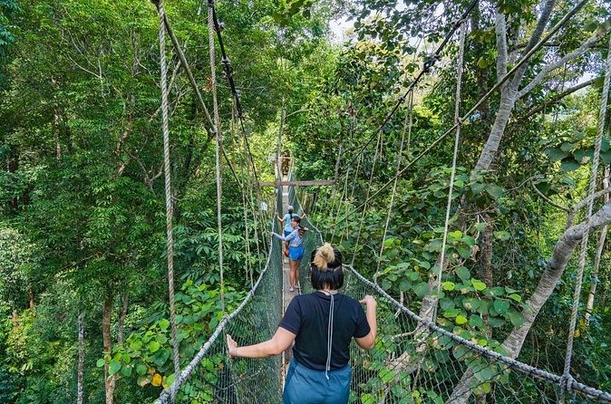 From Kuala Lumpur Taman Negara Day Trip With Lunch - Two hours in the national park