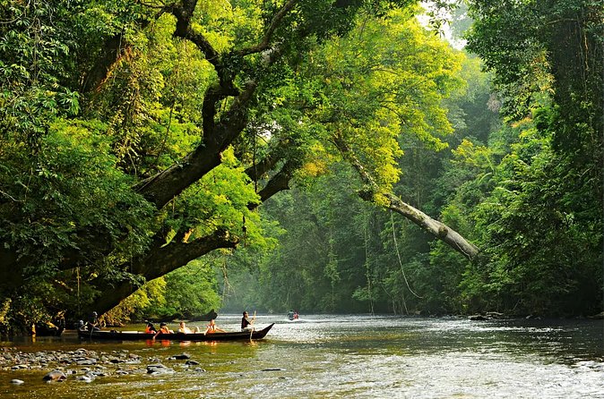 From Kuala Lumpur Taman Negara Day Trip With Lunch - Rapid shooting by long canoe or boat