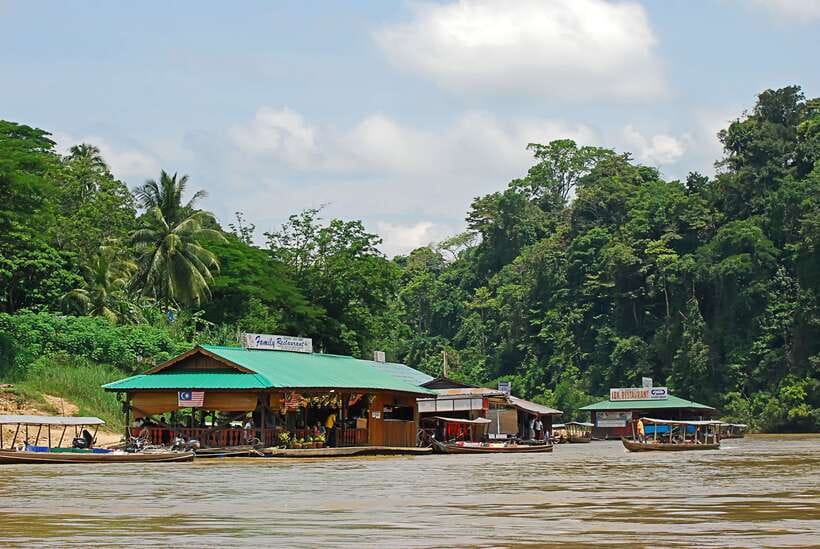 From Kuala Lumpur: Taman Negara National Park Trek Day Tour - Four hours from Kuala Lumpur to the rainforest