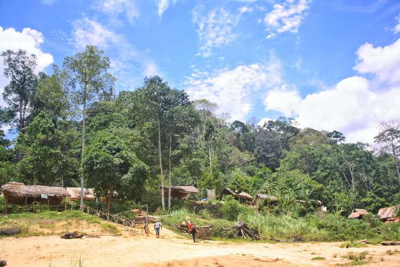 From Kuala Lumpur: Taman Negara National Park Trek Day Tour - What the tour does well, and where it falls short