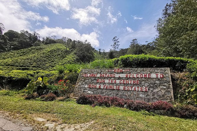 Full-day Cameron Highlands Day Trip from Kuala Lumpur - Strawberries, vegetables, and Cactus Valley