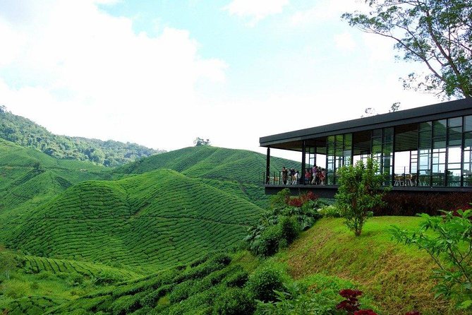 Full-day Cameron Highlands Day Trip from Kuala Lumpur - What the $93 price really buys you