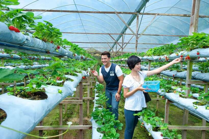 Genting Highland: Private Day Trip from Kuala Lumpur - Should you book this Genting Highlands tour?