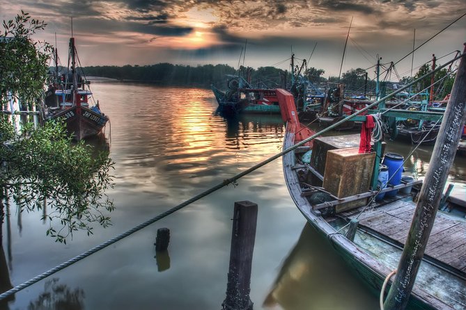 Glowing Kuala Selangor Firefly Tour - The 4pm departure and the road to Kuala Selangor