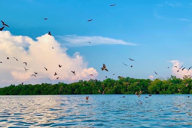 Instagrammable Kuala Selangor Sky Mirror Tour with Transfer - Lunch and the local-food break