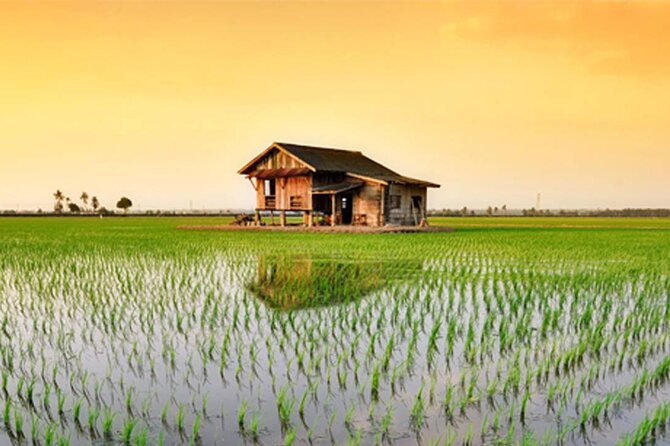 Instagrammable Kuala Selangor Sky Mirror Tour with Transfer - Reaching Sasaran Beach by boat