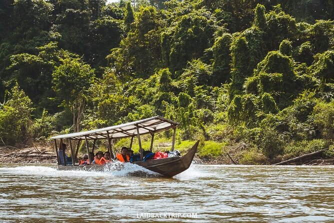 Jungle Odyssey: Unleash Your Adventure in Taman Negara! - Why Taman Negara makes a worthwhile day trip