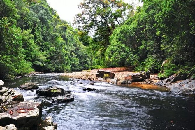 Jungle Odyssey: Unleash Your Adventure in Taman Negara! - The local settlement visit