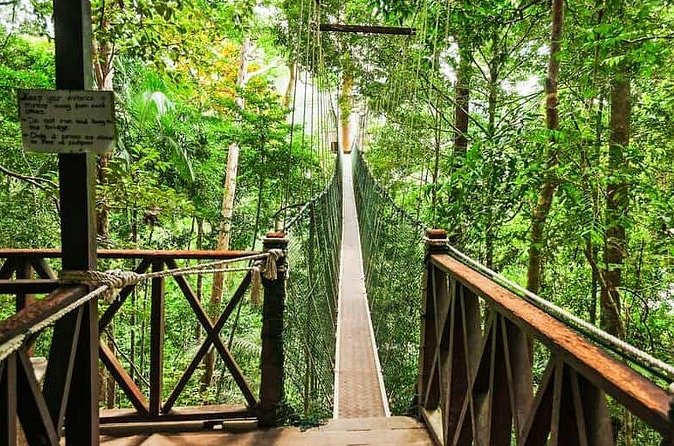 Jungle Odyssey: Unleash Your Adventure in Taman Negara! - Who will enjoy this Taman Negara day