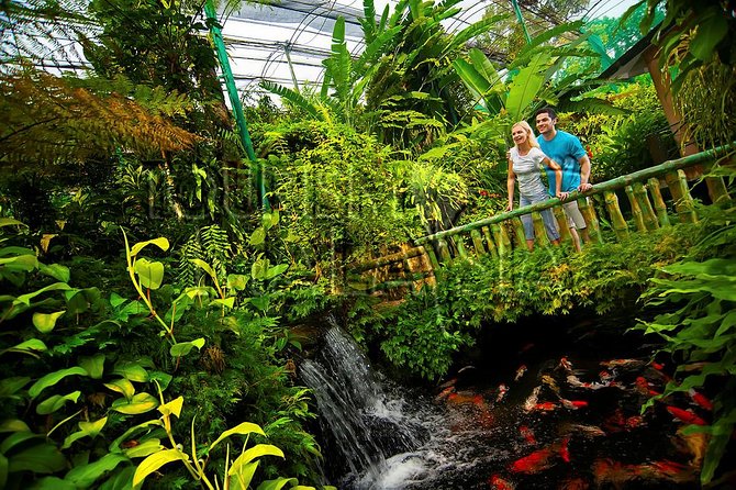 KL Butterfly Park Admission with Kuala Lumpur Famous Landmarks - Is $53.08 a good value?