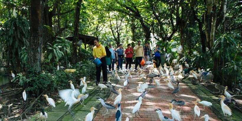 Kuala Lumpur: Bird Park, Butterfly & Garden Private Tour - How the private vehicle changes the day