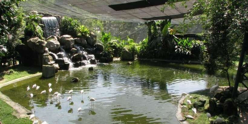 Kuala Lumpur: Bird Park, Butterfly & Garden Private Tour - Who will enjoy this tour most?