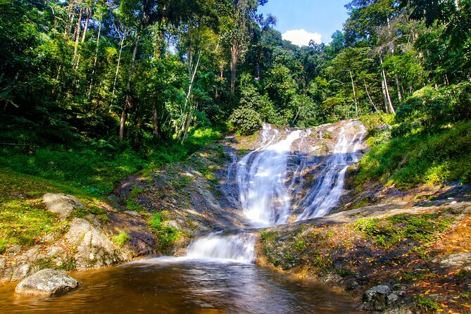 Kuala Lumpur: Cameron Highlands & Batu Caves Private Day Tour - Lunch and a Walk Through Tanah Rata