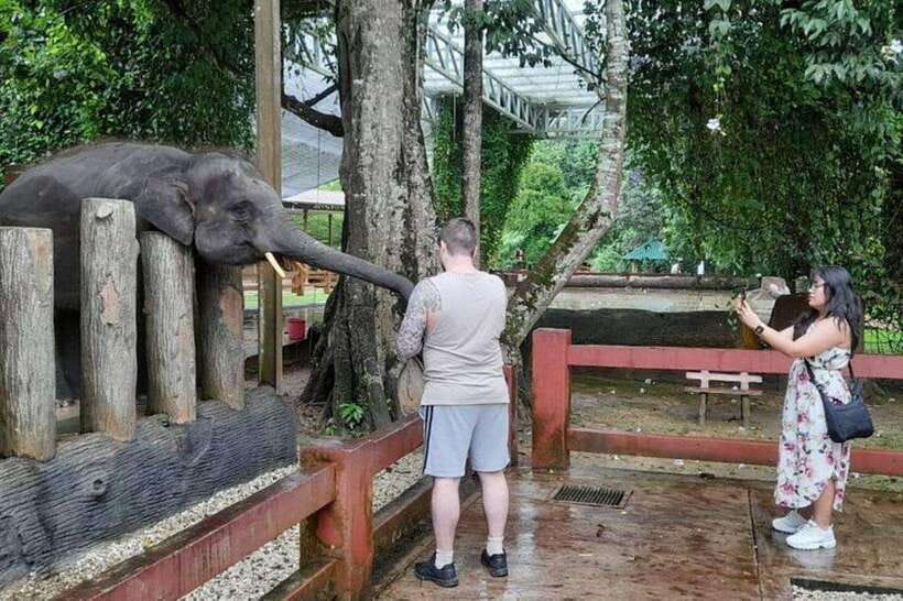 Kuala Lumpur: Kuala Gandah and Batu Caves Private Trip - How Much Time You Get at the Sanctuary