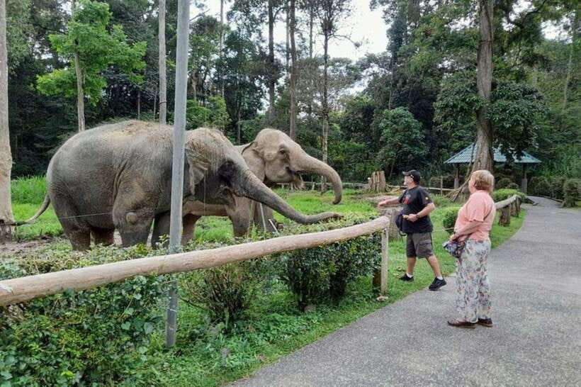 Kuala Lumpur: Kuala Gandah and Batu Caves Private Trip - Hotel Pickup and the Drive Into Selangor