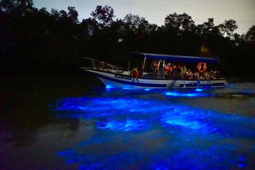 Kuala Lumpur: Kuala Selangor Fireflies and Blue Tears Tour - Should you book the Kuala Selangor evening tour?