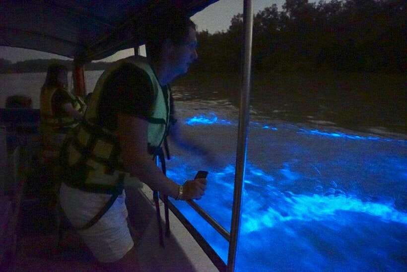 Kuala Lumpur: Kuala Selangor Fireflies and Blue Tears Tour - Transport and timing: convenient, but allow flexibility