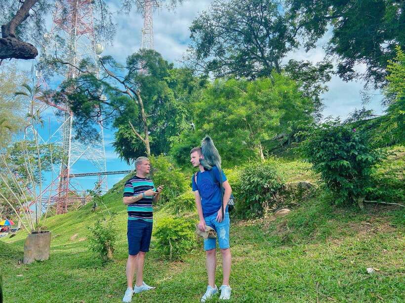Kuala Lumpur: Kuala Selangor Fireflies and Blue Tears Tour - Who will enjoy this evening most