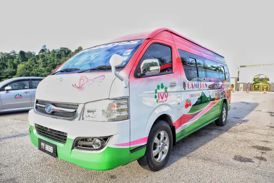 Kuala Lumpur: Sightseeing by Private Vehicle with Driver - What the $81 price includes