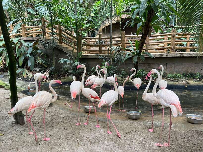 Kuala Lumpur: Sunway Lagoon Ticket & 1-Way Transfer - The Water Park and Surf Beach