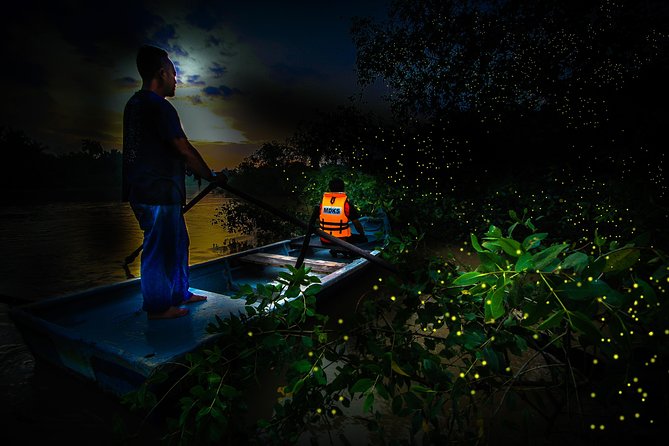 Kuala Selangor Fireflies - Batu Caves Temple- Malawati Hill DayTour With Dinner - Private vehicle, guide quality, and communication