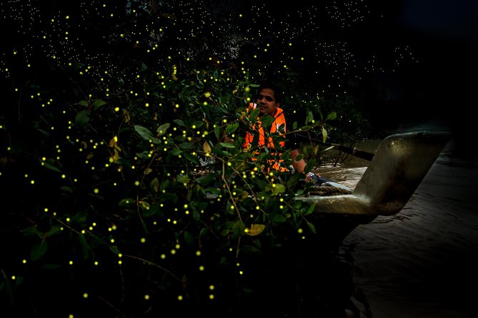 Kuala Selangor Fireflies - Batu Caves Temple- Malawati Hill DayTour With Dinner - Meeting the monkeys at Melawati Hill