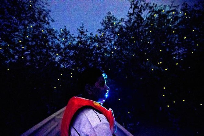 Kuala Selangor Fireflies Evening River Cruise from Kuala Lumpur - Sri Shakti Temple is a brief but striking stop
