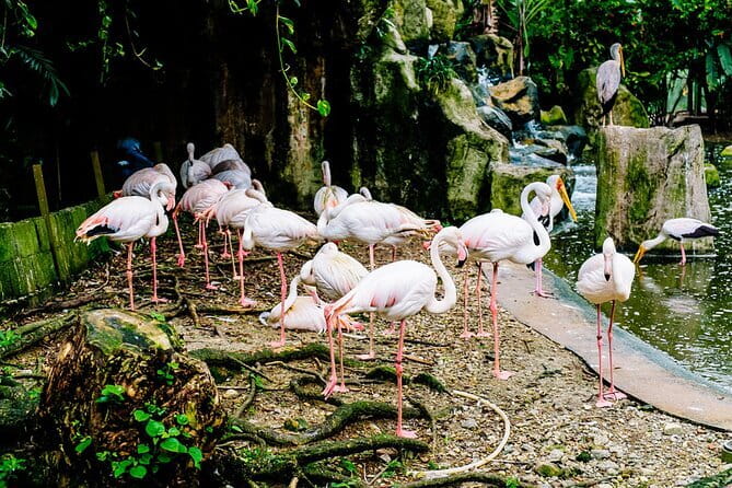 Kuala Selangor Sky Mirror Experience – Natural Mirror Beach Tour - What the $94.27 price includes