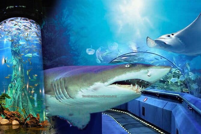 Malaysia: Aquaria KLCC Admission E-Ticket - The 90-meter underwater tunnel is the main event