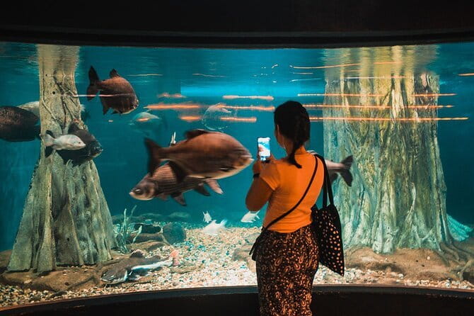 Malaysia: Aquaria KLCC Admission E-Ticket - A broad look at marine life from around the world