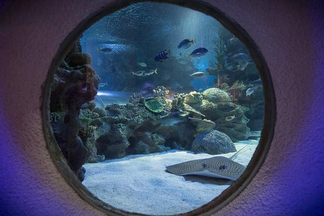Malaysia: Aquaria KLCC Entry Ticket - Why the underwater tunnel deserves your time