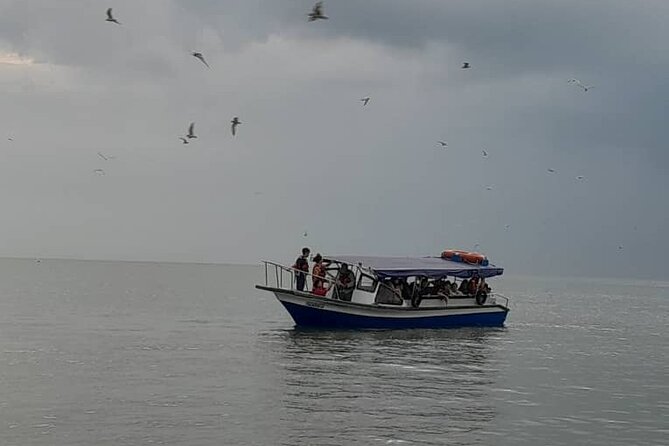 Mystical Nights: Fireflies & Blue Tears Adventure - Kuala Selangor seafood before the night cruise