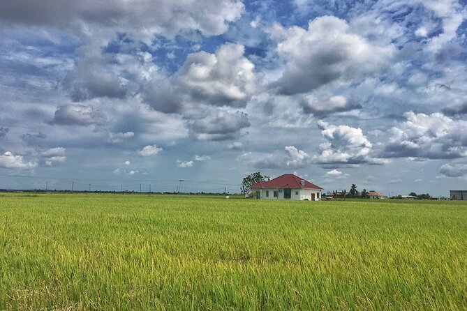 Paddy Field, Fishing Village Sekinchan DAY Tour Lunch (SIC-Shared/Join In Tour) - The beach and famous wishing tree