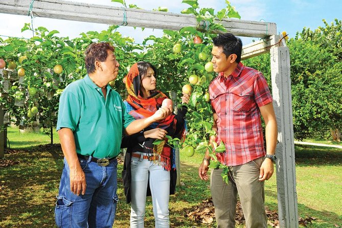Penang Full Day Tour with Penang Hill, Kek Lok Si & Fruit Farm - Kek Lok Si Temple’s blend of Asian styles
