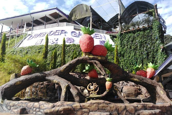 Private: Cameron Highlands 2 days 1 night Trip - Cactus Valley and Kea Farm bring you closer to local produce