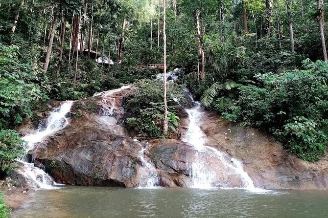 Private Fireflies Tour with Blue Tears and Seafood Dinner - Seafood dinner at Yang Ming Restaurant