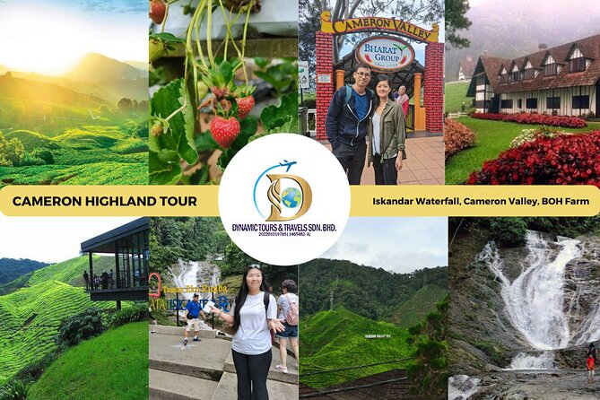 Private Full-Day Cameron Highlands Nature Tour from Kuala Lumpur - Quick points before you book