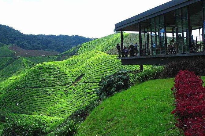 Private Full-Day Cameron Highlands Nature Tour from Kuala Lumpur - Ringlet and the Orang Asli visit