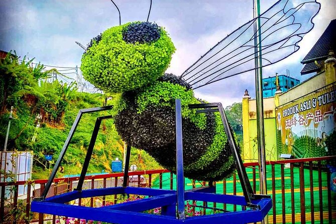 Private Full-Day Cameron Highlands Nature Tour from Kuala Lumpur - Cameron Valley and the taste of Malaysian tea