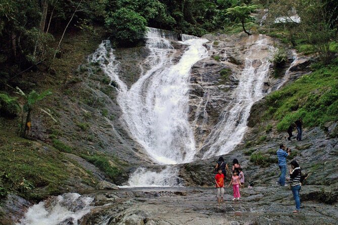 Private Full-Day Cameron Highlands Nature Tour from Kuala Lumpur - Lunch and the Golfer’s Café stop