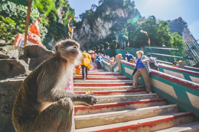 Private Half-Day Batu Caves and Cutural Tour in Kuala Lumpur - What the private format really adds