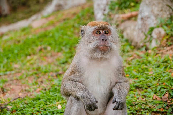 Private Kanching Waterfalls with Batu Caves & Ramayana Caves Tour - Kanching Falls: rainforest air and a chance to swim