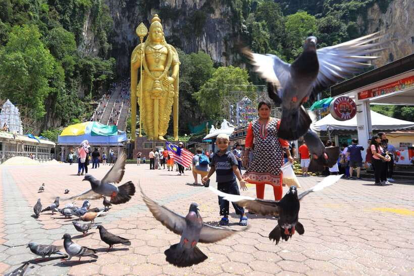 Private KL City Tour with Petronas Twin Towers & Batu Caves - Central Market and Chinatown add local color